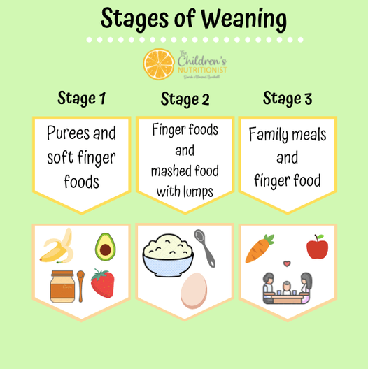 image showing the different stages of weaning